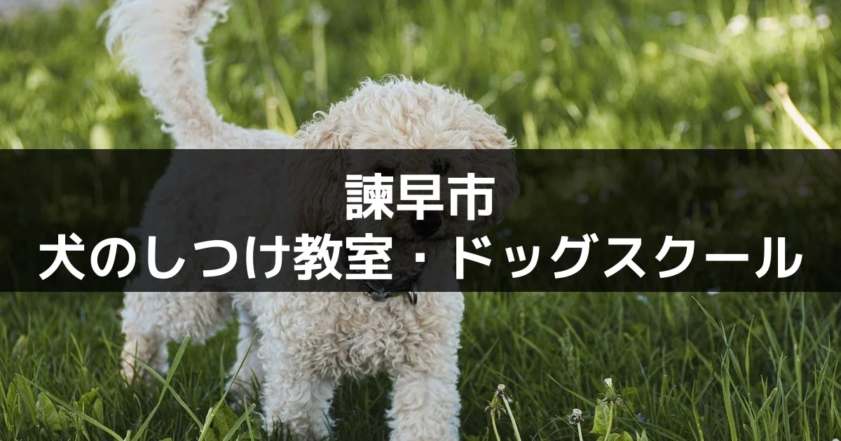 諫早市にある犬のしつけ教室・ドッグスクール